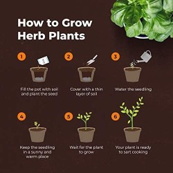 GARDENING KIT - GROW 8 HERBS - GROW BUDDHA