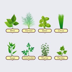 KIT DE JARDINAGE - GROW 8 HERBS - GROW BUDDHA