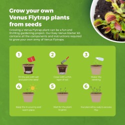 GARDENING KIT - VENUS FLYTRAP - CARNIVOROUS PLANT - GROW BUDDHA