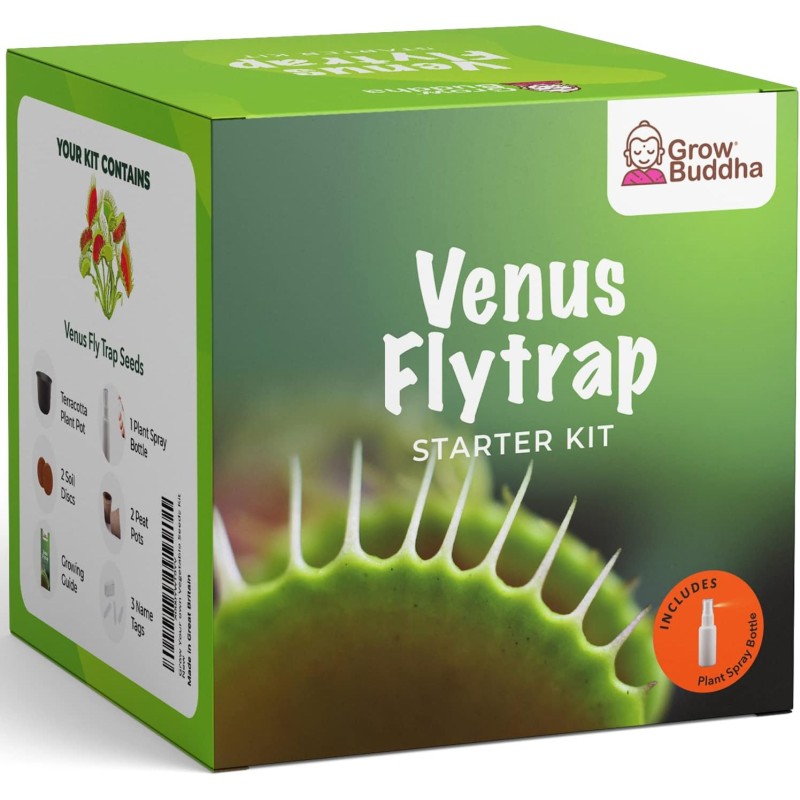 GARDENING KIT - VENUS FLYTRAP - CARNIVOROUS PLANT - GROW BUDDHA-FLOORS-HOSTENATURA