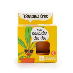 KIT COLTIVAZIONE BANANA - VASO 8CM