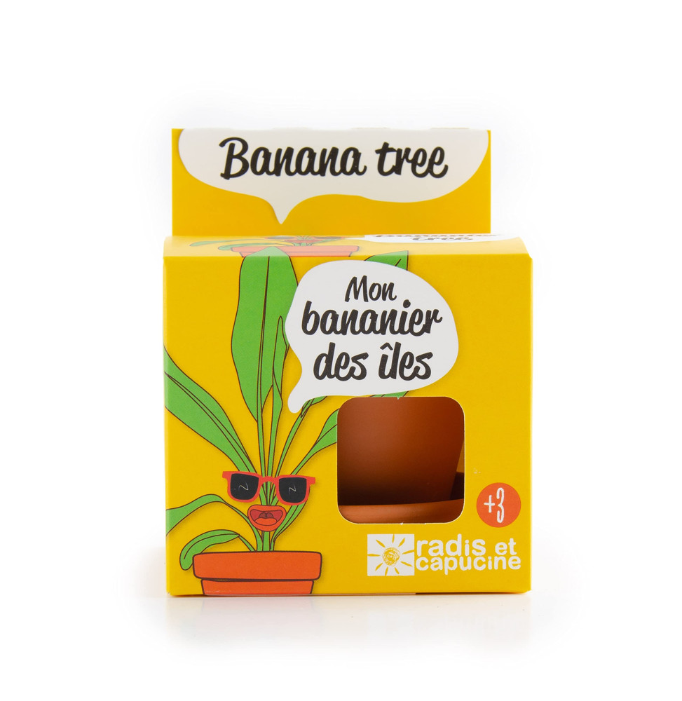 KIT CULTIVO PLATANO - MACETA 8CM-الأرضيات-HOSTENATURA