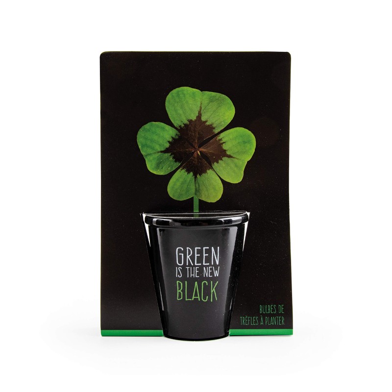 CLOVER PLANTING KIT 4 LEAVES - BLACK PLANTING KIT-FLOORS-HOSTENATURA