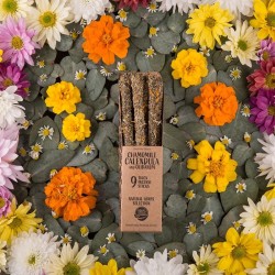 Holy Mother Incense Sahumerio - Calendula, Chamomile and Frankincense 9 thick sticks