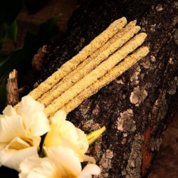 Botanical Incense Magnolias - Holy Mother