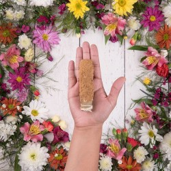 SAHUMITO SAGRADA MADRE - SANDELHOUT - LICHT EN GENEZEND - NATUURLIJKE KRUIDEN EN HARS - HANDGEMAAKT