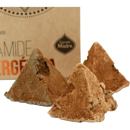 PIRAMIDE ENERGÉTICA CANELA - OLÍBANO INCIENSO - SAGRADA MADRE - 4 unidades