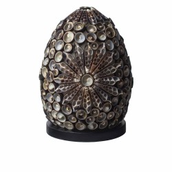 Boho Lamp - Sea Shell - Oval - 15cm - Chocolate Color