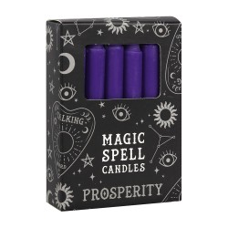 CANDELE MAGICHE - CANDELE MAGICHE DELL'INCANTESIMO - PROSPERITÀ - PROSPERIDAD - CONFEZIONE DA 12 CANDELE VIOLA - SPIRIT OF EQUIN