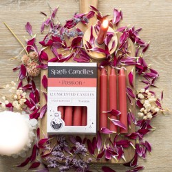 CANDELE D'INCANTESIMO CANDELE D'INCANTESIMO - PASSIONE - CONFEZIONE DA 12 CANDELE ROSSE - SPIRIT OF EQUINOX