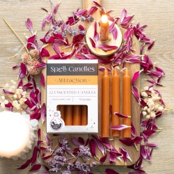 SPELL CANDLES SPELL CANDLES - ATTRAKTION - PACK 12 ORANGEFARBENE KERZEN - SPIRIT OF EQUINOX