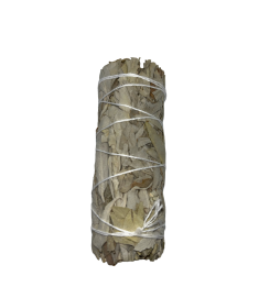 Bound California White Sage | Ecological and Sustainable | 100% Original | Purification, Energy Cleansing and Harmony | 10cm