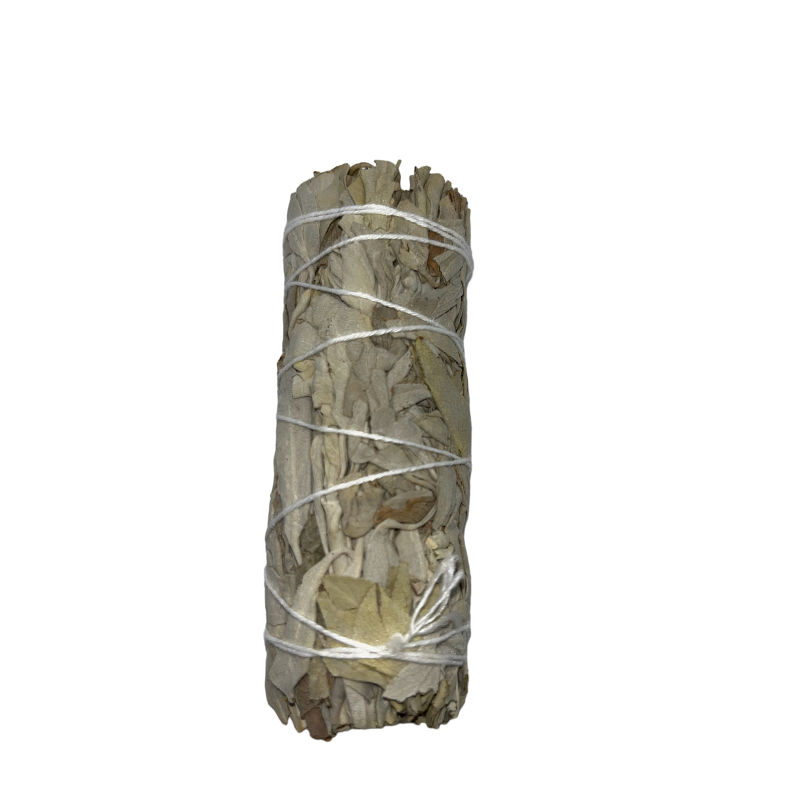 Bound California White Sage | Ecologic și durabil | 100% original | Purificare, curățare energetică și armonie | 10 cm-LEAT-HOSTENATURA