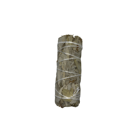 Inbunden Kalifornien White Sage | Ekologiskt och hållbart | 100% original | Rening, energirening och harmoni | 10 cm