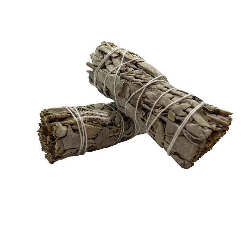 2 Bundles California White Sage | Eco-Friendly & Sustainable | 100% Original | Purification, Energy Cleansing and Harmony-TIED UP-HOSTENATURA