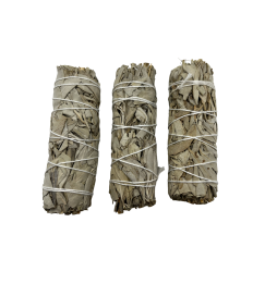 3 Atados Salvia Blanca de California | Ecológico y Sostenible | 100% Original | Purificación, Limpieza Energética y Armonía