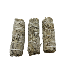 3 Bundles California White Sage | Eco-Friendly & Sustainable | 100% Original | Purification, Energy Cleansing and Harmony