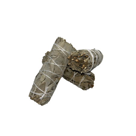 3 Bundles California White Sage | Eco-Friendly & Sustainable | 100% Original | Purification, Energy Cleansing and Harmony
