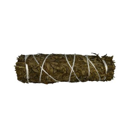 Rue Amarrando | Ecológico e Sustentável | 100% Originais | Proteção e Limpeza | 10cm | 1 unidade