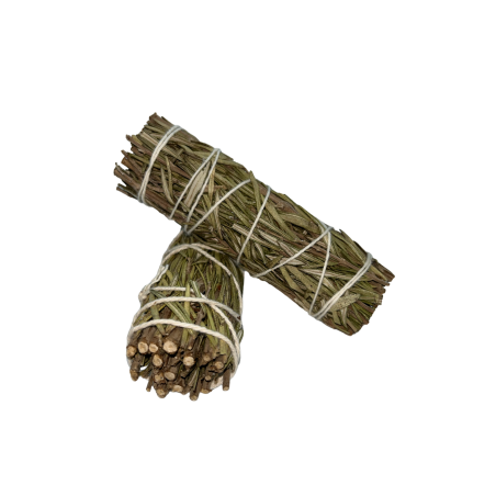 Bouquet de romarin | Respectueux de l’environnement et durable | 100% original | Purification et protection | 10 cm | 1 unité