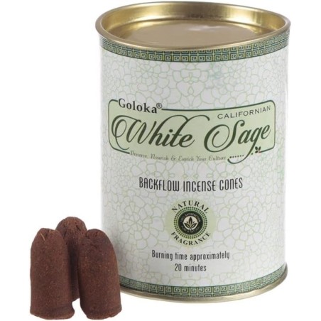 GOLOKA Boîte de Cônes de Sauge Blanche - Cônes Blackflow Sauge Blanche - Boîte de 18 Cônes