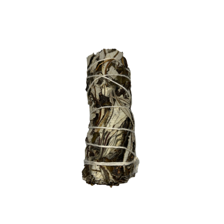 Agrupamento de Erva Santa | Ecológico e Sustentável | 100% Originais | Limpeza e Harmonia | 10cm | 1 unidade