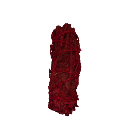 Lligat de Sang de Drac | Ecològic i Sostenible | 100% Original | Protecció i Neteja Energies Negatives | 10cm | 1 Unitat