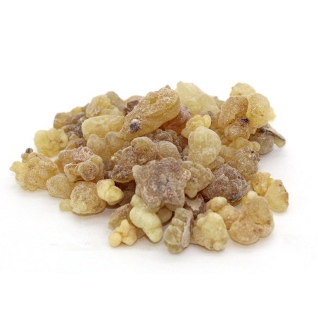 OLIBANO DE NIGERIA Extra Resina de Incienso | Puro 100% Natural | Boswellia Dalziellii | Bolsita de 25gr.
