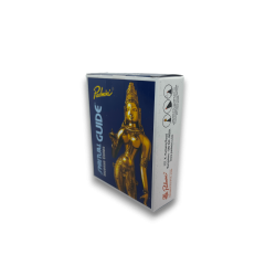 PADMINI Incense Cones Spiritual Guide - 12 cones - Fragrance from India