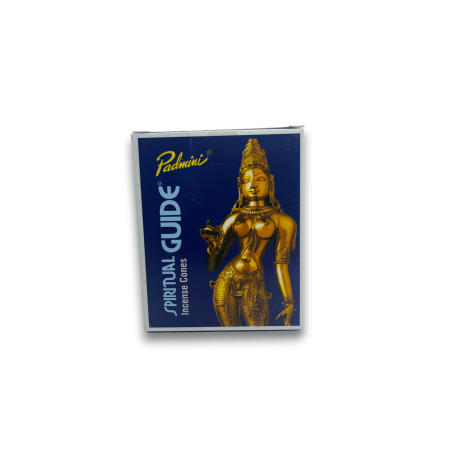 PADMINI Incense Cones Spiritual Guide - 12 cones - Fragrance from India