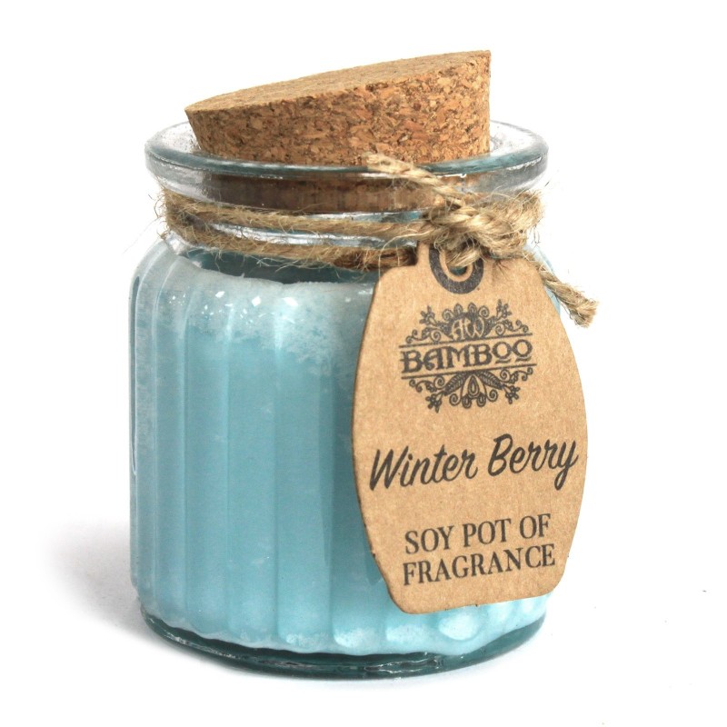 Soy Wax Candle Jar - Winter Berry-SOY WAX CANDLES-HOSTENATURA