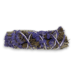 Bündel lila Salbei, hergestellt in Mexiko – Bündel Kräuter, 10 cm
