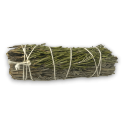 Blue Sage and Rosemary Bundle - Purifying and Protection