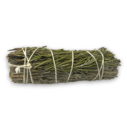 Bundle of Blue Sage and Rosemary - Purifying and Protection