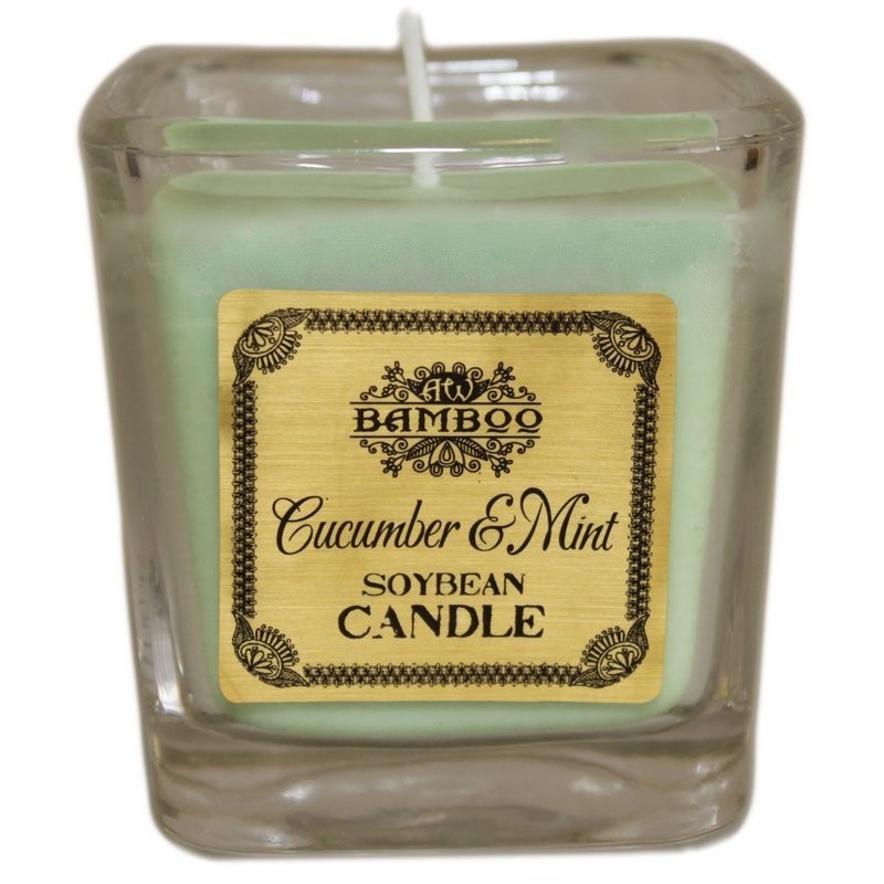 Soy Wax Candle - Cucumber & Mint-SOY WAX CANDLES-HOSTENATURA