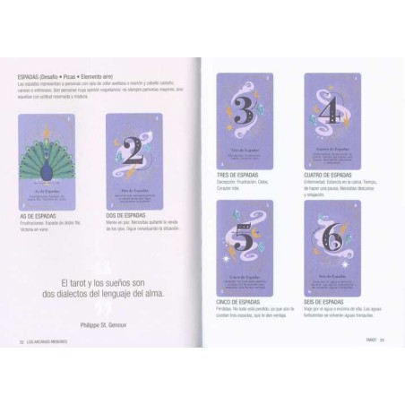 RISE UP Everything to read the tarot (Book + Tarot Deck)