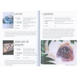 RISE The Power of Crystals (Inklusive Buch und Tasche mit Kristallen)