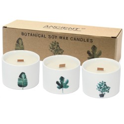 1 Medium Botanical Candle - Japanese Garden (Sorted Colors)