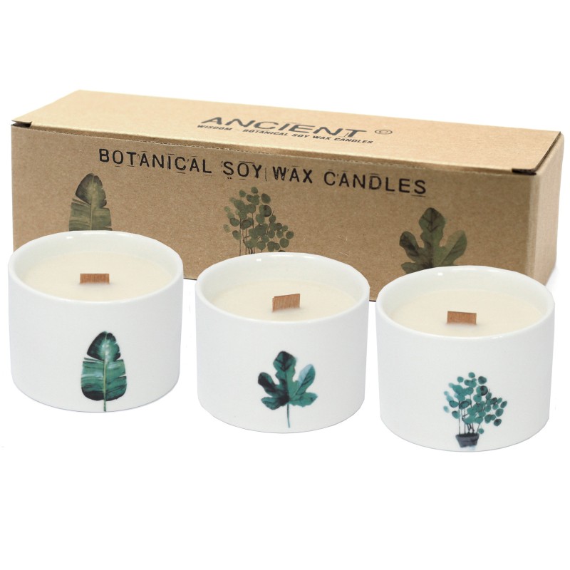 1 Medium Botanical Candle - Japanese Garden (Sorted Colors)-BOTANY WOOD SOY CANDLES-HOSTENATURA