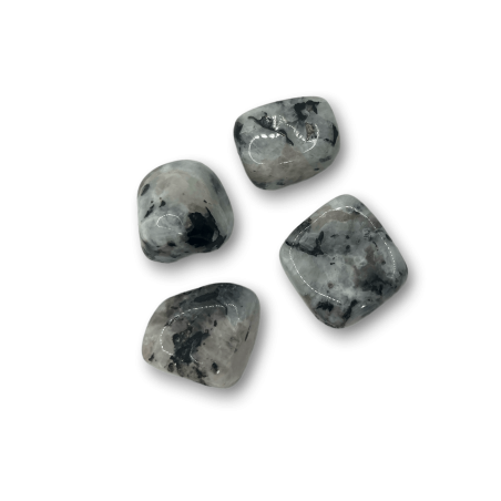 Ciottolo grande Pietra di luna - 4 cm circa. - 1 unità