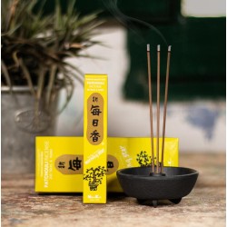 Encens Japonais Morning Star Patchouli de Nippon Kodo (20g) - 50 bâtonnets + brûleur à encens