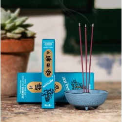 Incenso Japonês Morning Star Jazmin Nippon Kodo (20g) 50 palitos + incensário