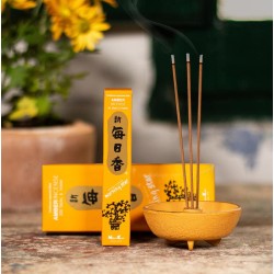 Japanese Incense Morning Star Amber Amber Nippon Kodo 200 sticks + incense holder - Large Pack