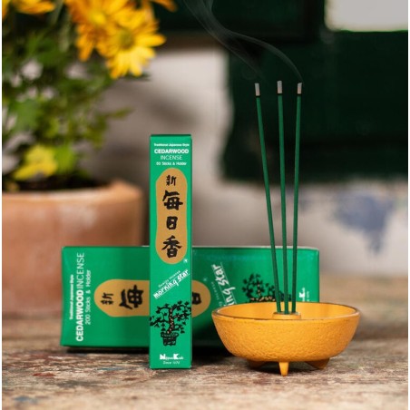 Encens Japonais Etoile du Matin Cèdre Cèdre Nippon Kodo 200 bâtonnets + encensoir - Grand Pack