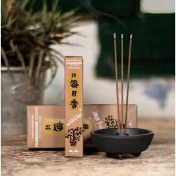 Incenso Xaponés Morning Star Igrexa Frankincense Nippon Kodo 200 varas + queimador de incenso - Paquete Grande