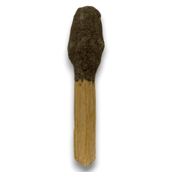 Pop Stick Palo Santo Romero - Hostenatura - Energy Purification and Protection