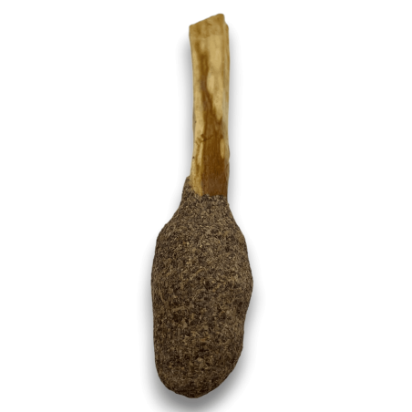 Pop Stick Palo Santo Black Sage - Hostenatura - Spiritual Connection and Cleansing