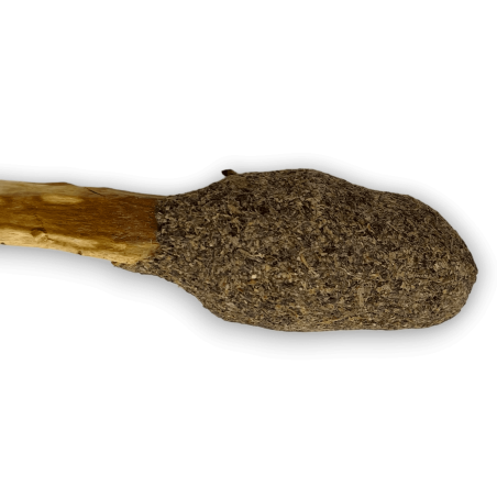 Pop Stick Palo Santo Black Sage - Hostenatura - Spiritual Connection and Cleansing
