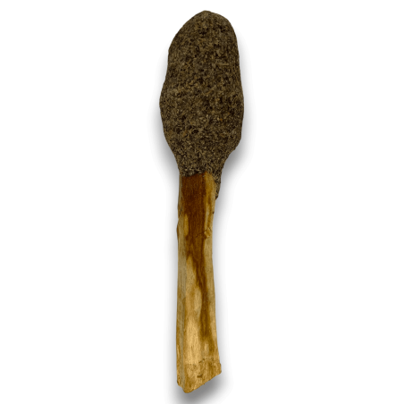 Pop Stick Palo Santo Salvia Negra - Hostenatura - Conexión Espiritual y Limpieza