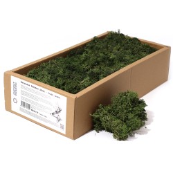 Dark Green Reindeer Moss for decoration - 500gr.